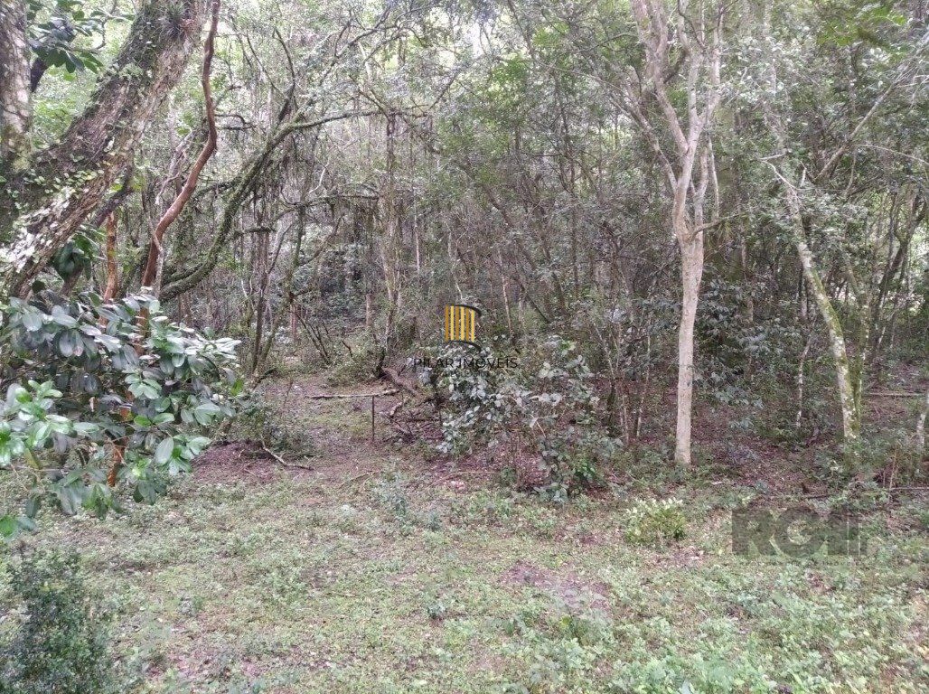 Terreno Bairro Itapuã