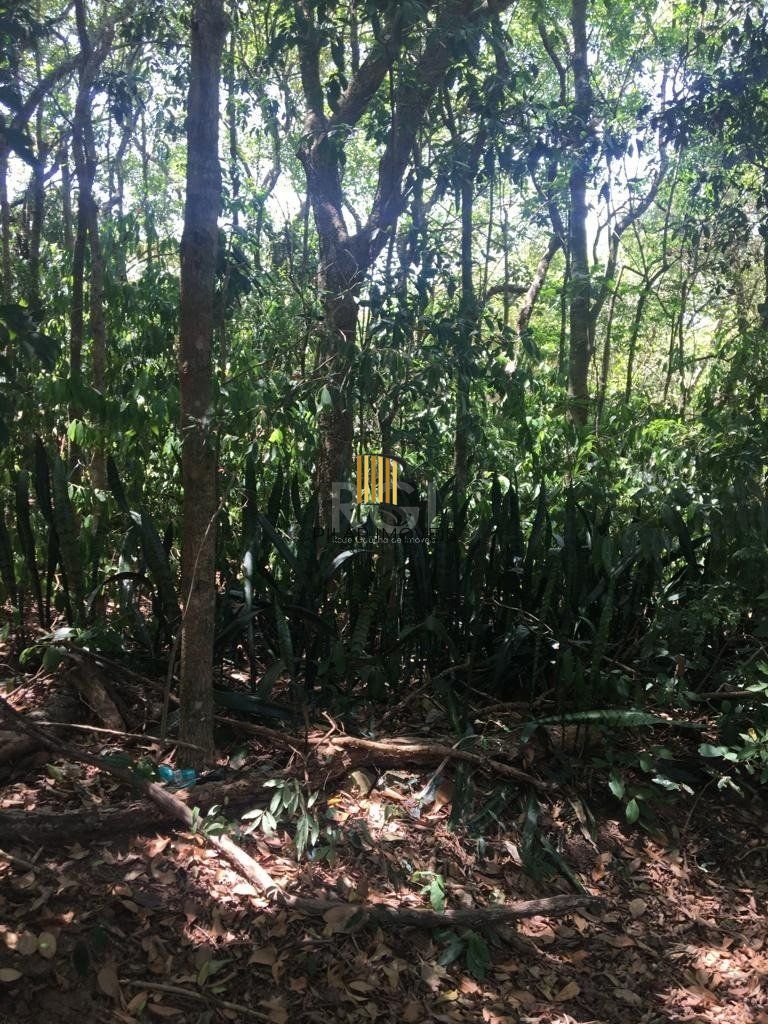 Terreno Bairro Aberta dos Morros