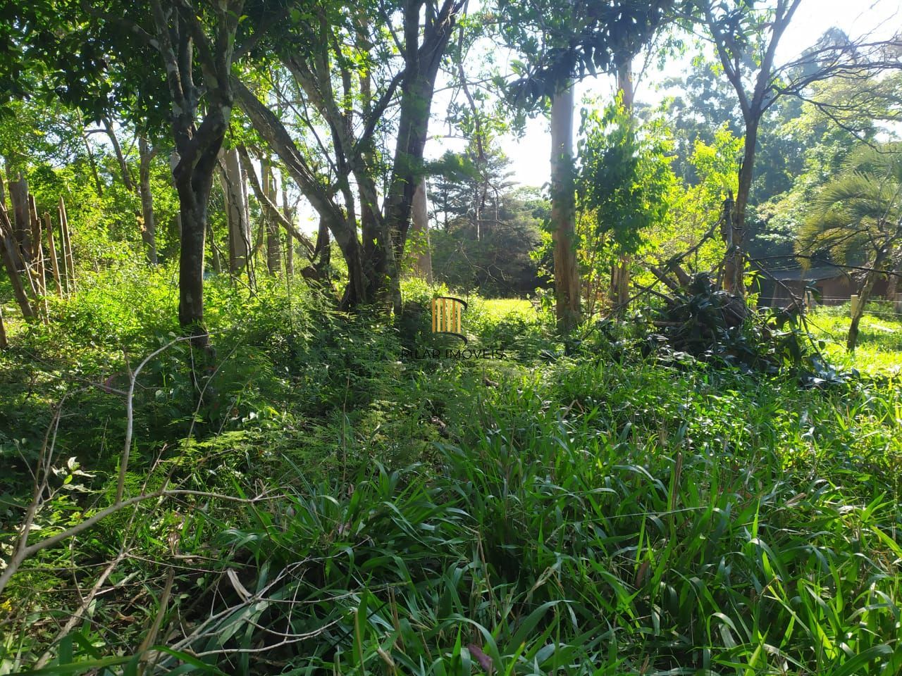Terreno no bairro Área Rural de Itapuã