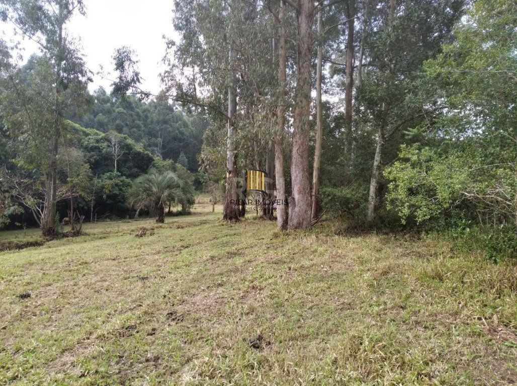 Terreno Bairro Central