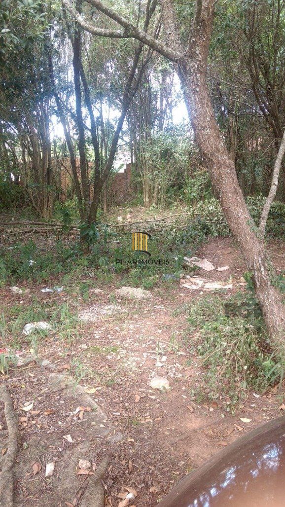 Terreno Bairro Lomba do Pinheiro