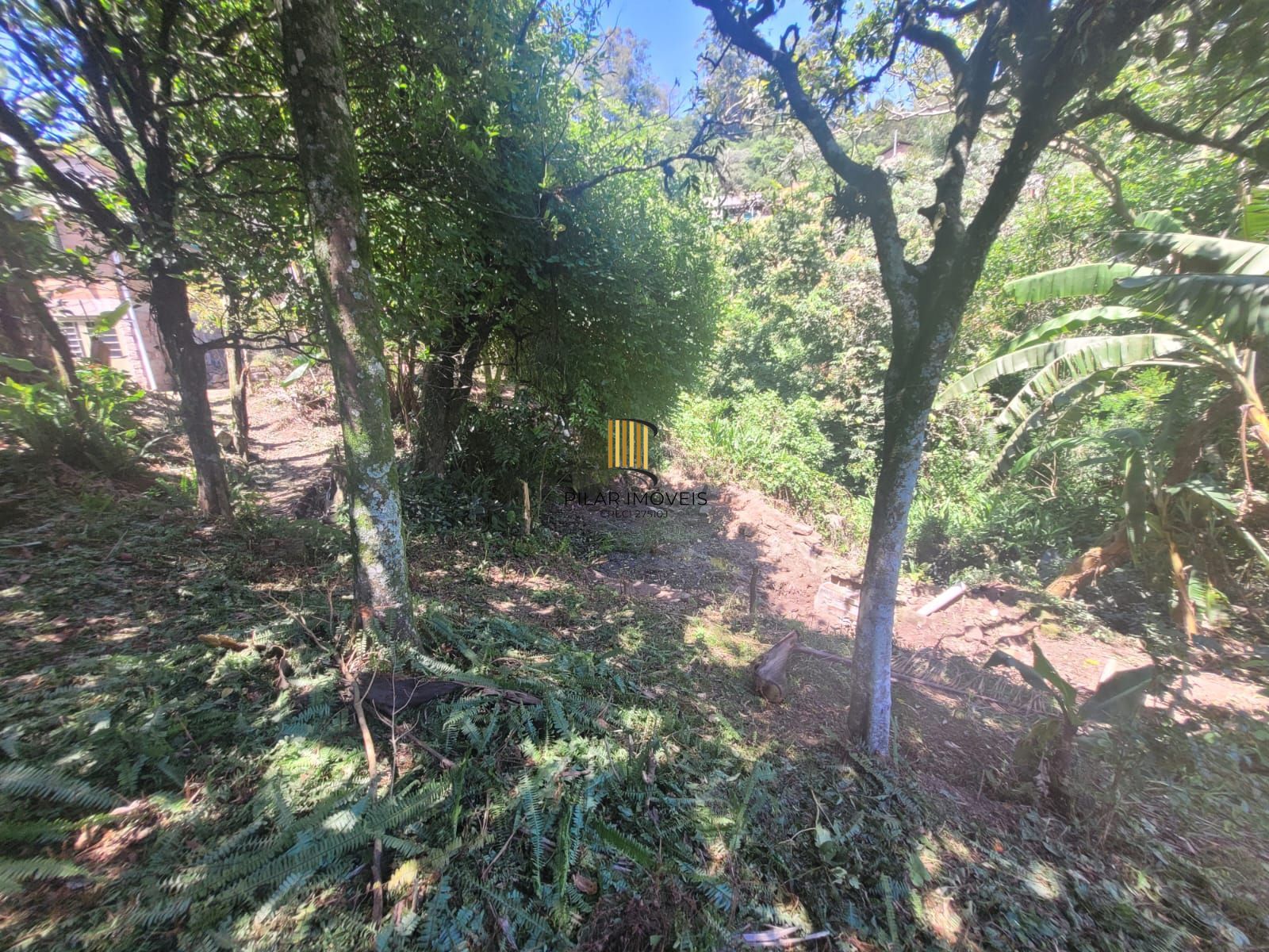 Chácara 3 dormitórios no bairro Cascata