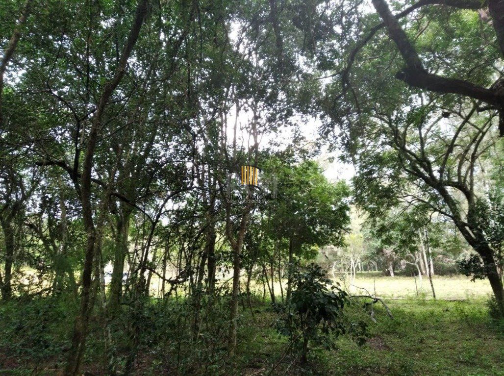 Terreno Bairro Central
