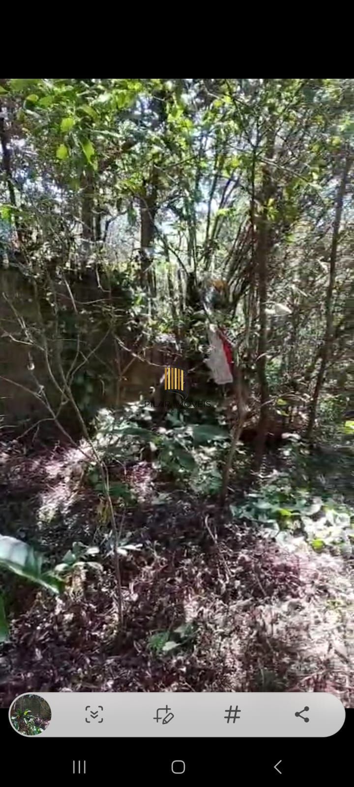 Chácara no bairro Lageado