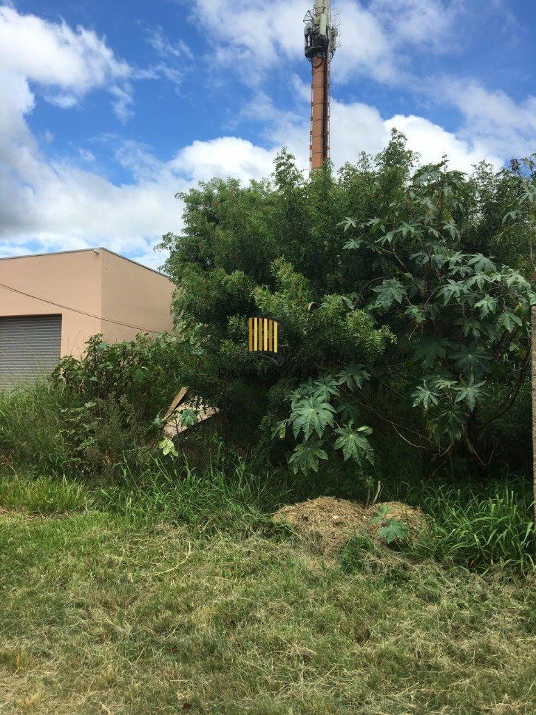 Terreno Bairro Ponta Grossa