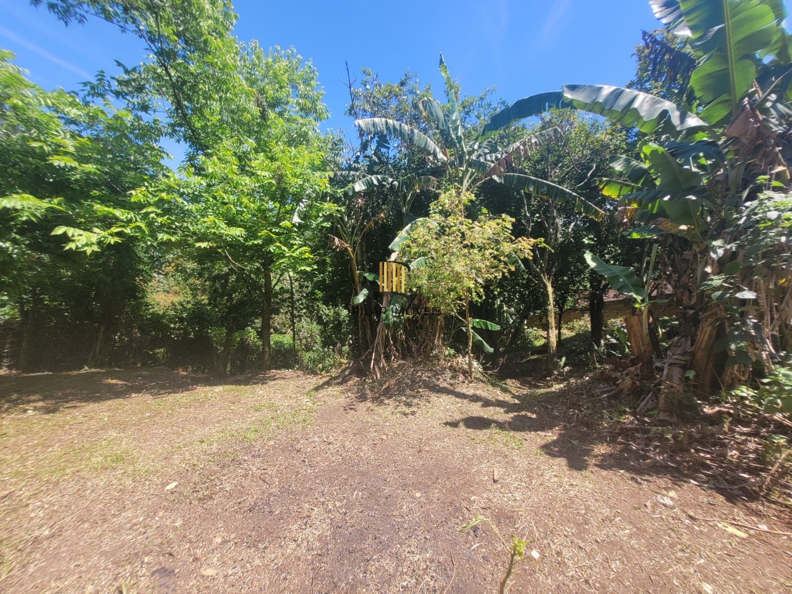 Chácara 3 dormitórios no bairro Cascata