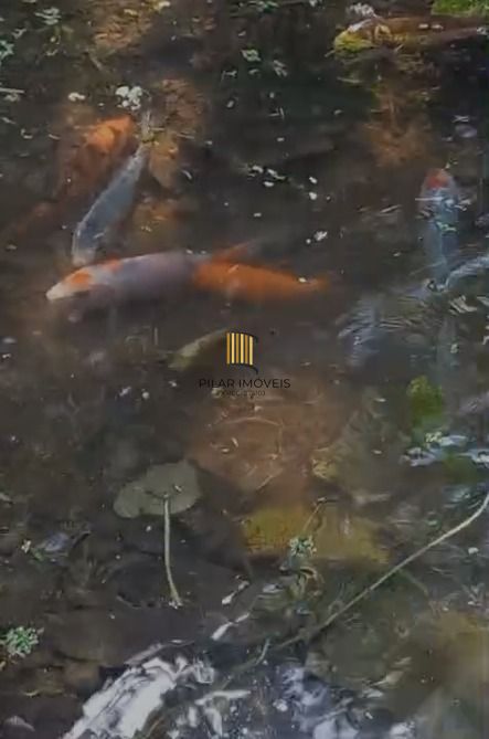 Chácara 3 dormitórios no bairro Cascata