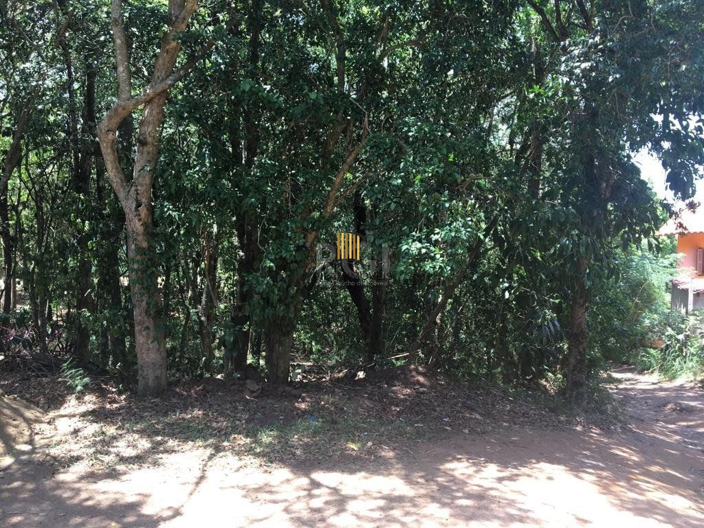 Terreno Bairro Aberta dos Morros