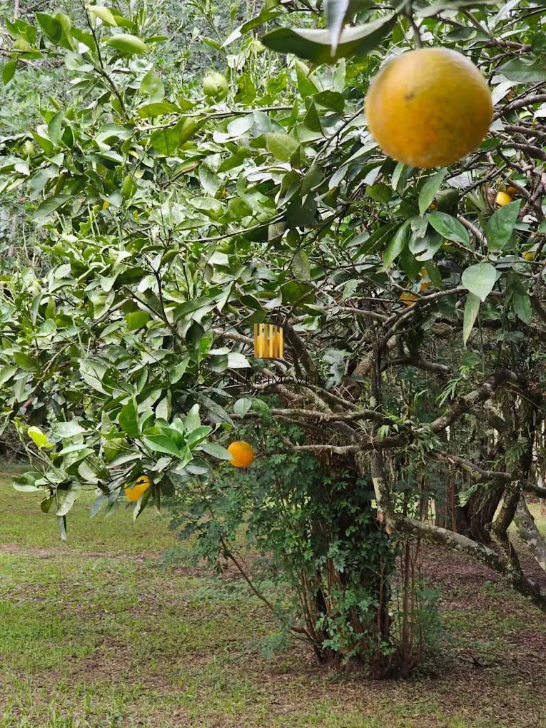 Casa de Condomínio 3 dormitórios no bairro Vila Nova