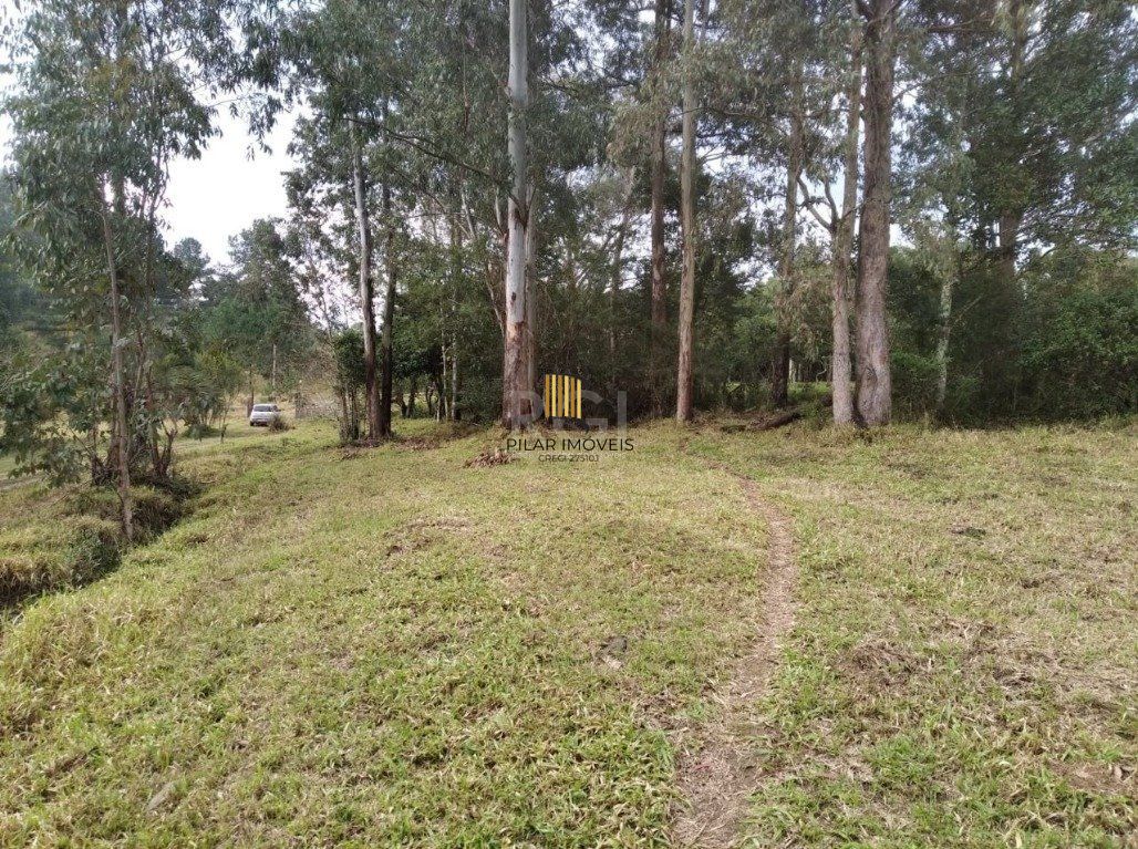 Terreno Bairro Central