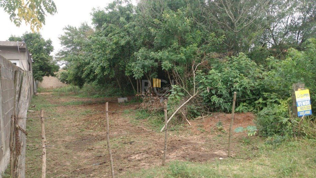 Terreno Bairro Lageado