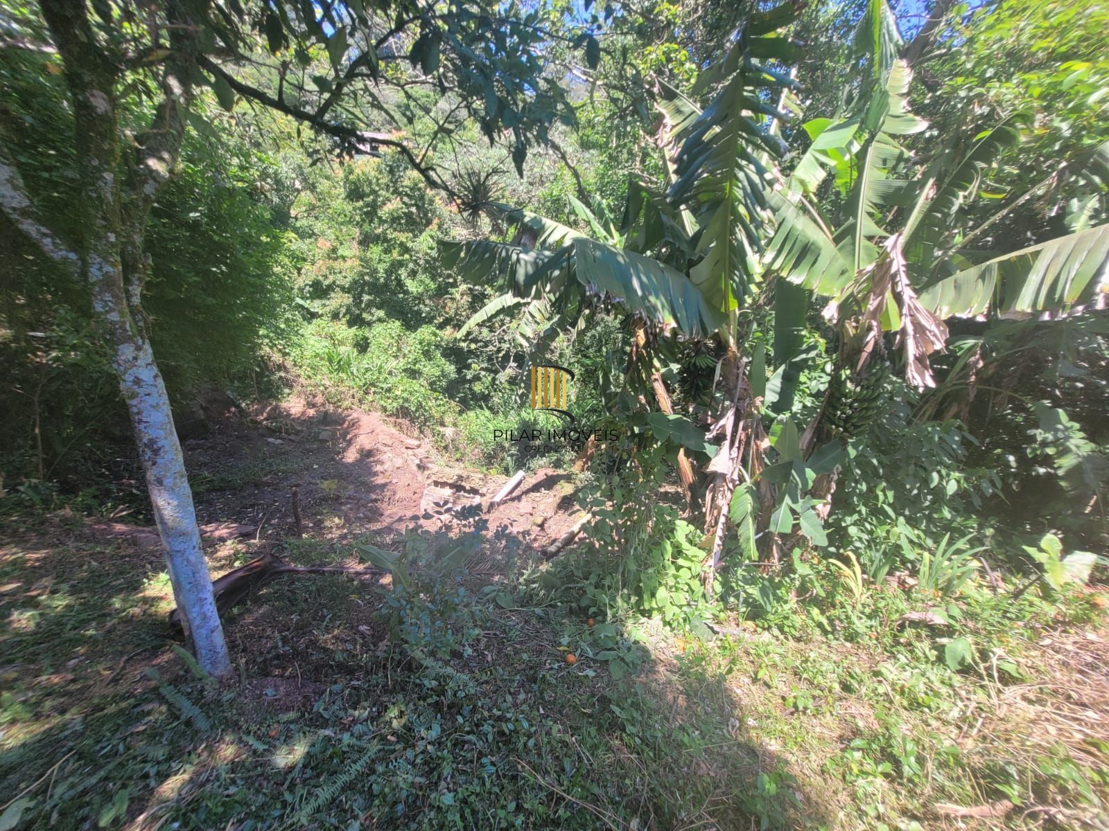 Chácara 3 dormitórios no bairro Cascata