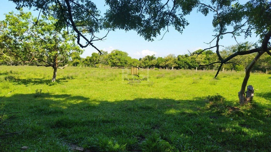 Sítio 3 Dormitório(s) Bairro Lami