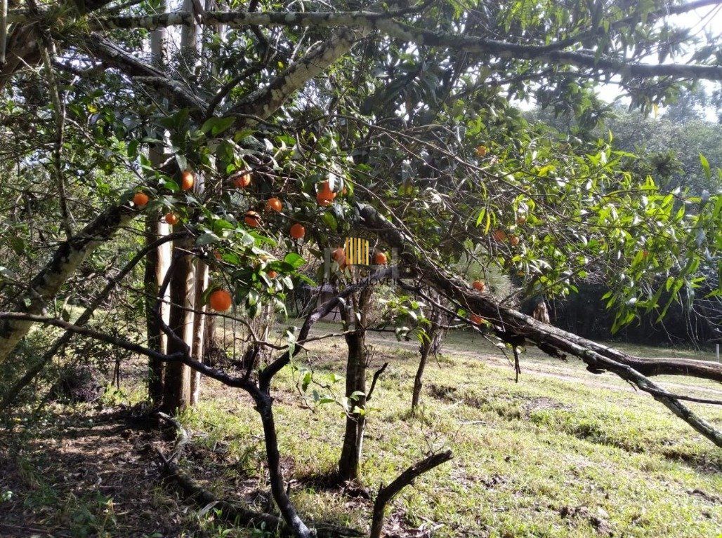 Terreno para Venda - 0m², 0 dormitórios, Central