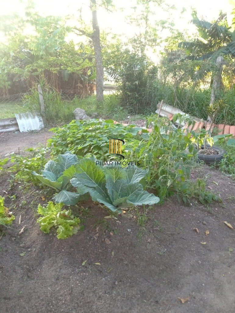 Casa 3 Dormitório(s) Bairro Lageado