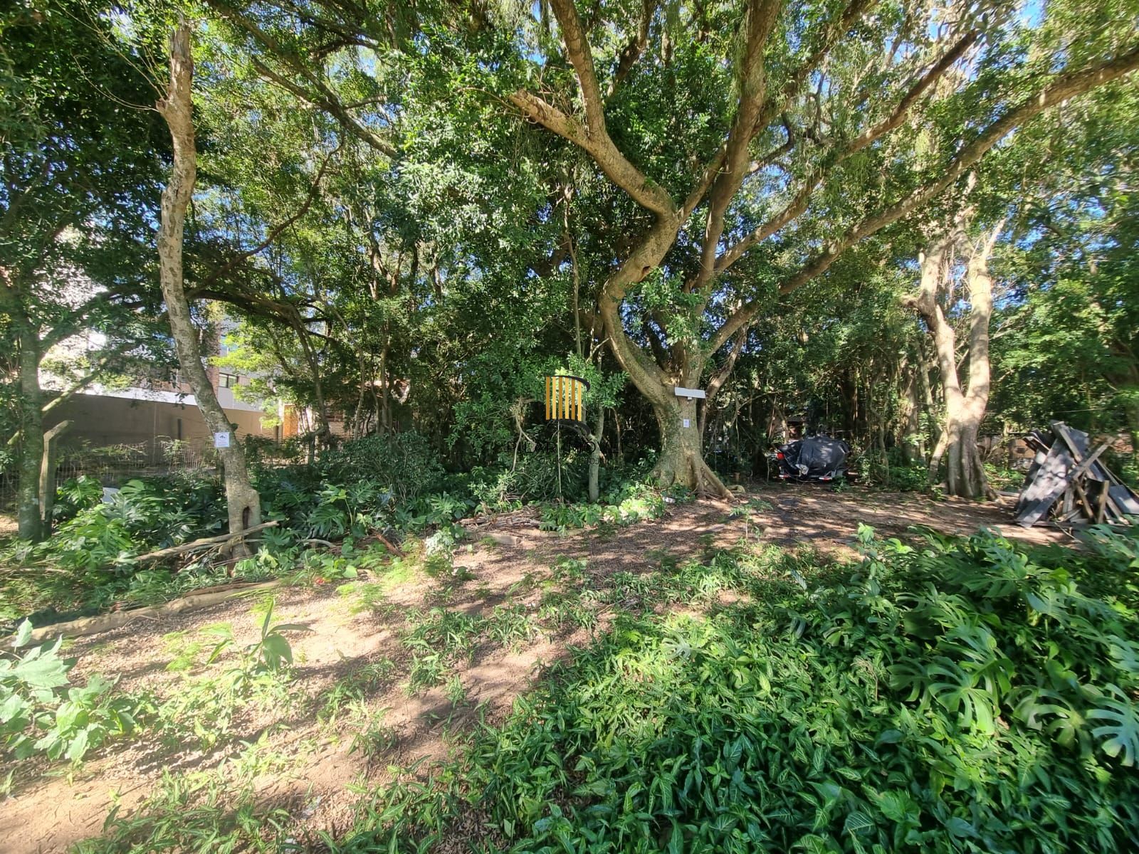 Terreno na Beira de Ipanema com 972m²