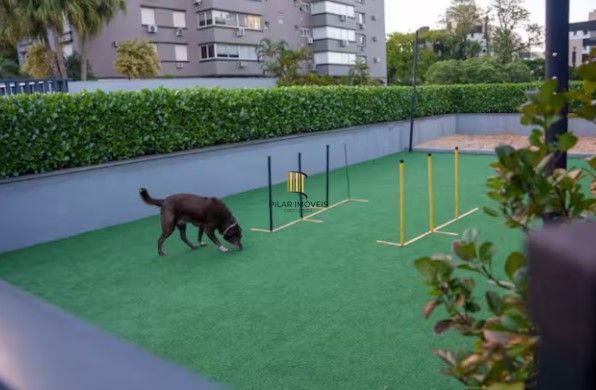 Apartamento Porteira Fechada com Vista Excelente Posição Solar - Anita Residence