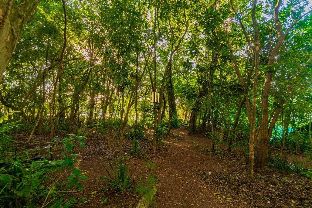 Excelente casa para comprar em condominio arborizado 4 quartos