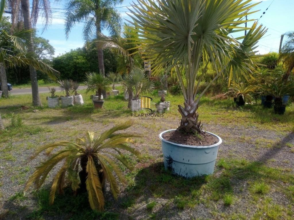 Boletto Imóveis vende Sitio na RS, Com 7 casas, 2 comerciais, excelente local para vários seguimento fácil acesso , rota para gramado, R$3.900,000,00