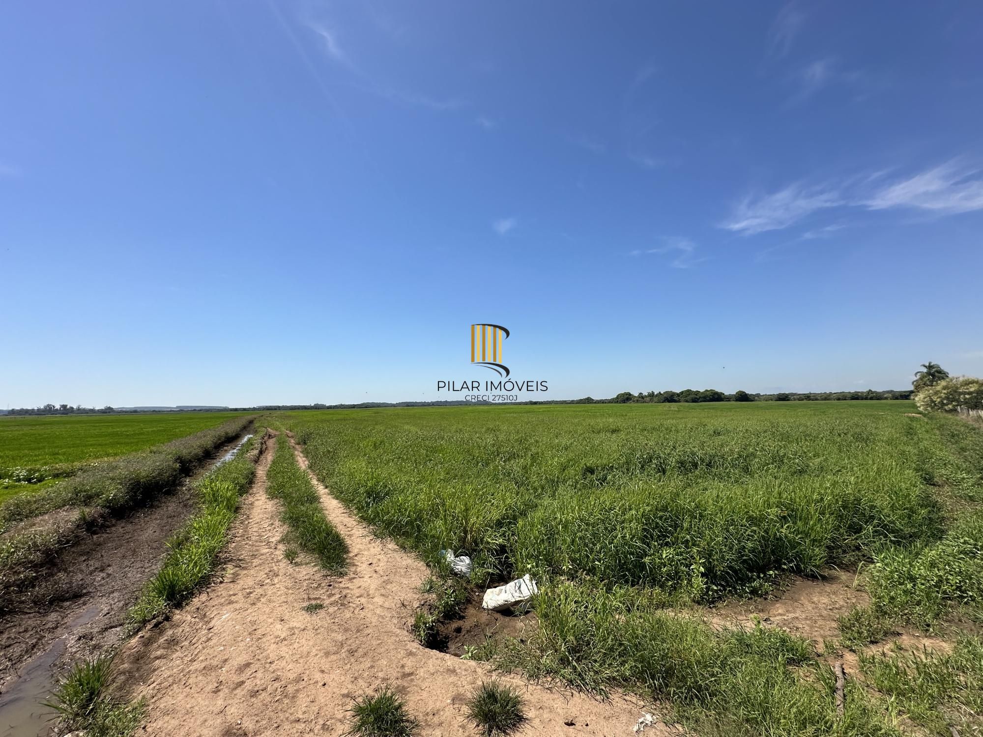 Fazenda à venda no Vale Verde - RS - 433 hectares. Ideal para Arroz e Soja.