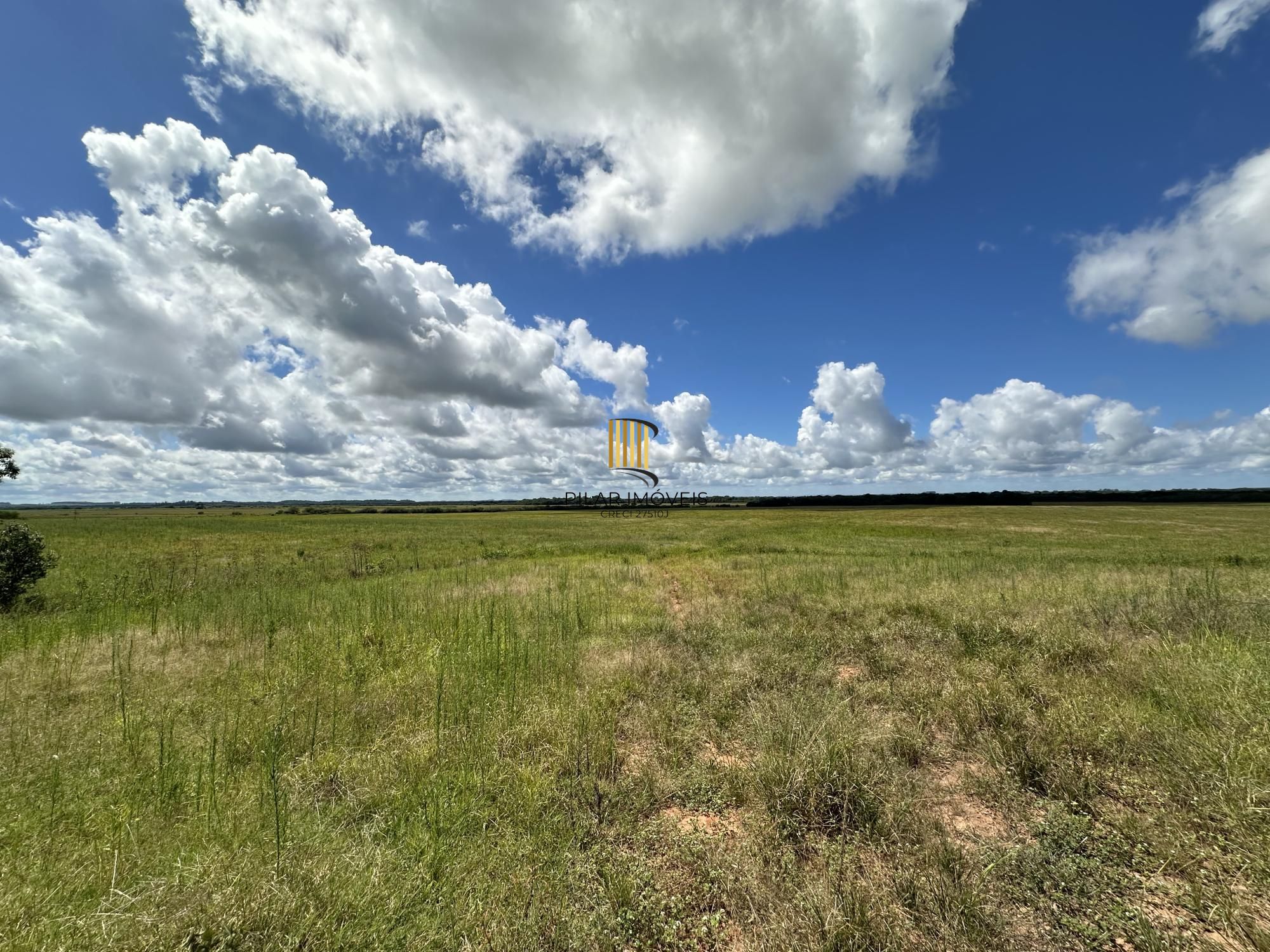 Fazenda à venda no Vale Verde - RS - 433 hectares. Ideal para Arroz e Soja.