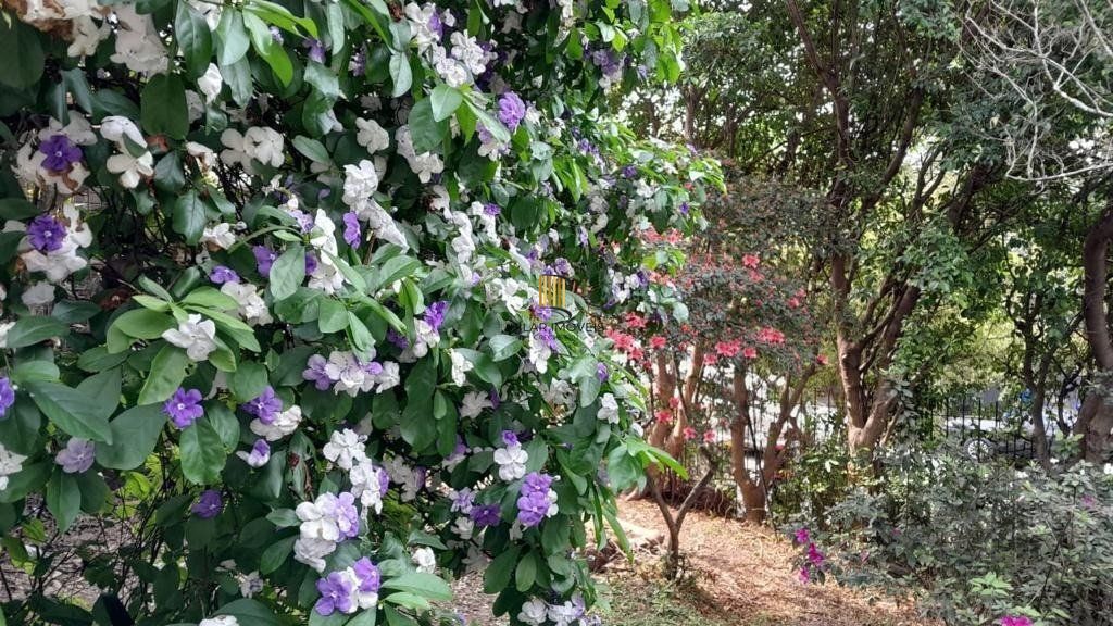 Terreno para Comprar  na Santa Cecília no bairro Rio Branco.