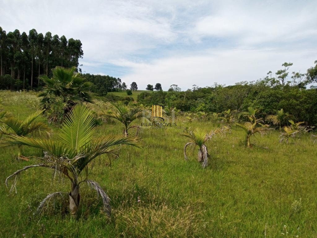 Boletto Imóveis vende Sitio na RS, Com 7 casas, 2 comerciais, excelente local para vários seguimento fácil acesso , rota para gramado, R$3.900,000,00