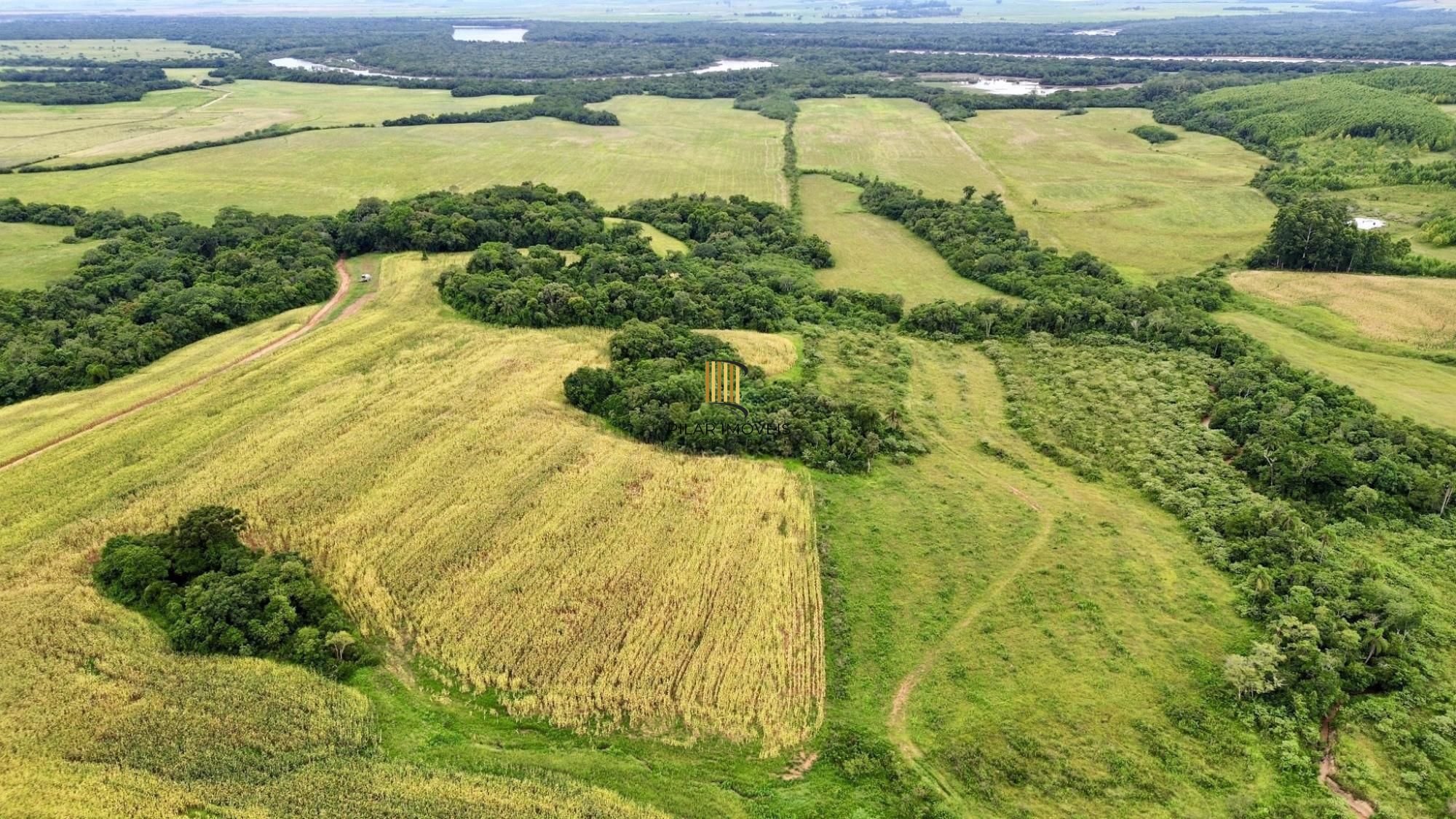 Fazenda à venda no Vale Verde - RS - 433 hectares. Ideal para Arroz e Soja.