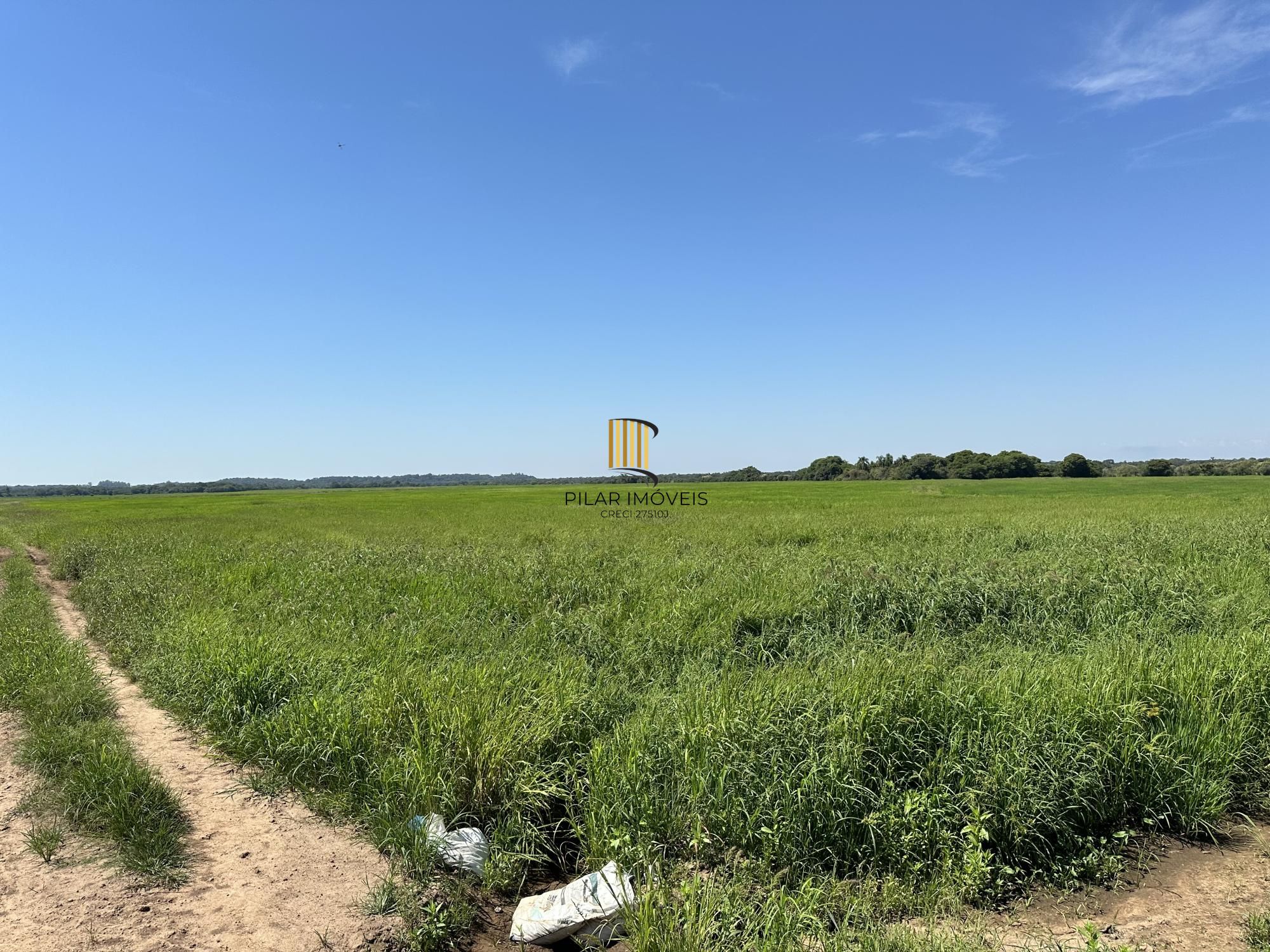 Fazenda à venda no Vale Verde - RS - 433 hectares. Ideal para Arroz e Soja.