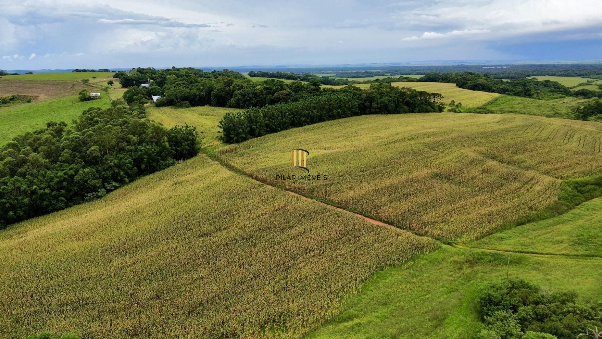 Fazenda à venda no Vale Verde - RS - 433 hectares. Ideal para Arroz e Soja.