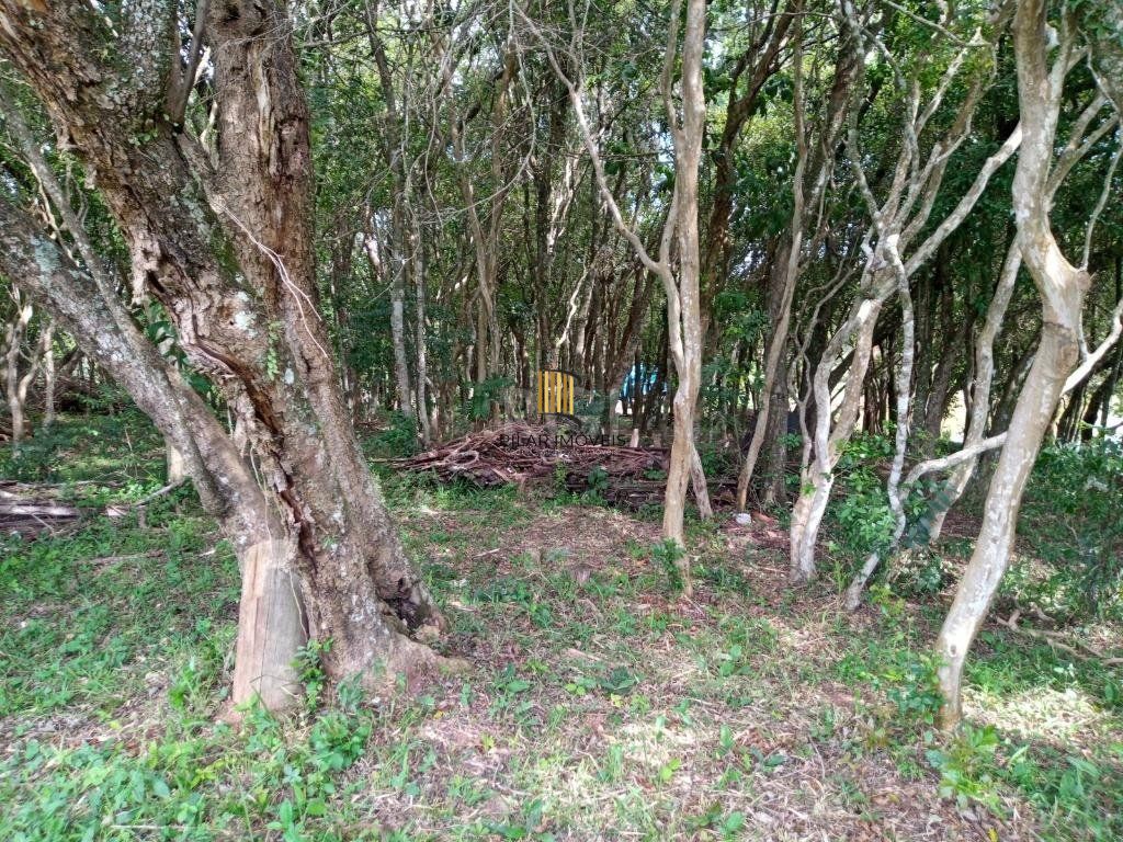 Boletto Imóveis vende Sitio na RS, Com 7 casas, 2 comerciais, excelente local para vários seguimento fácil acesso , rota para gramado, R$3.900,000,00