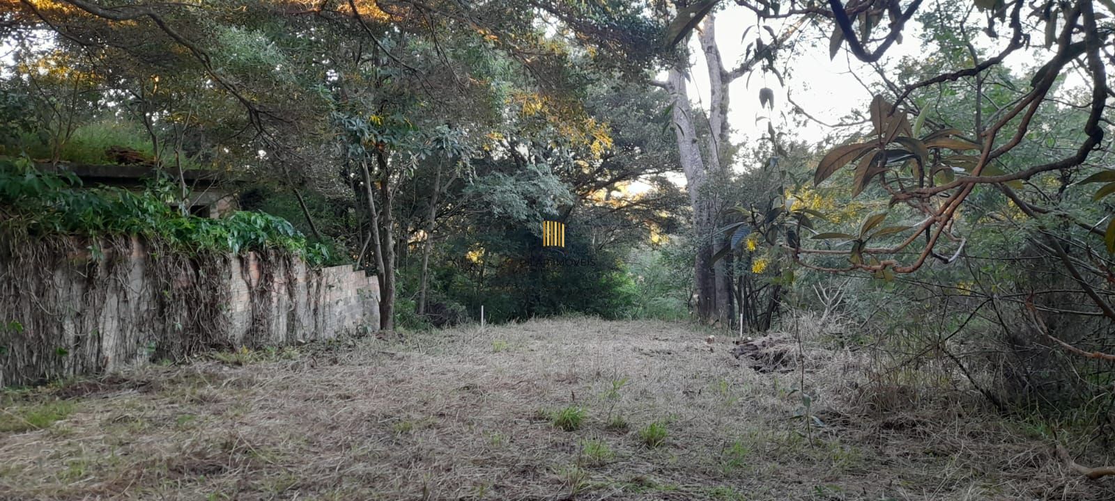 Terreno de barbada