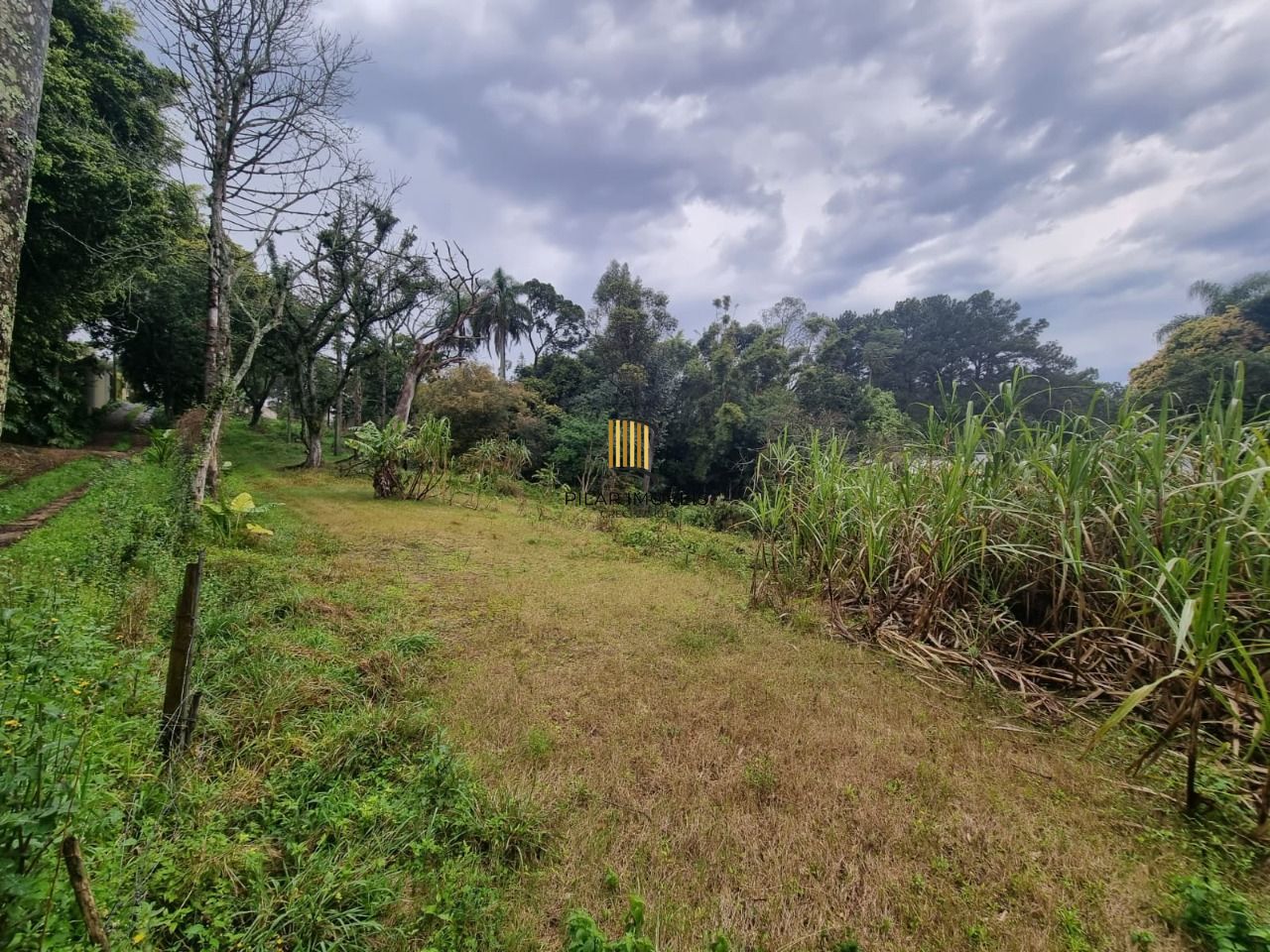 Terreno para Venda - 4.452m Bairro Jardim Isabel