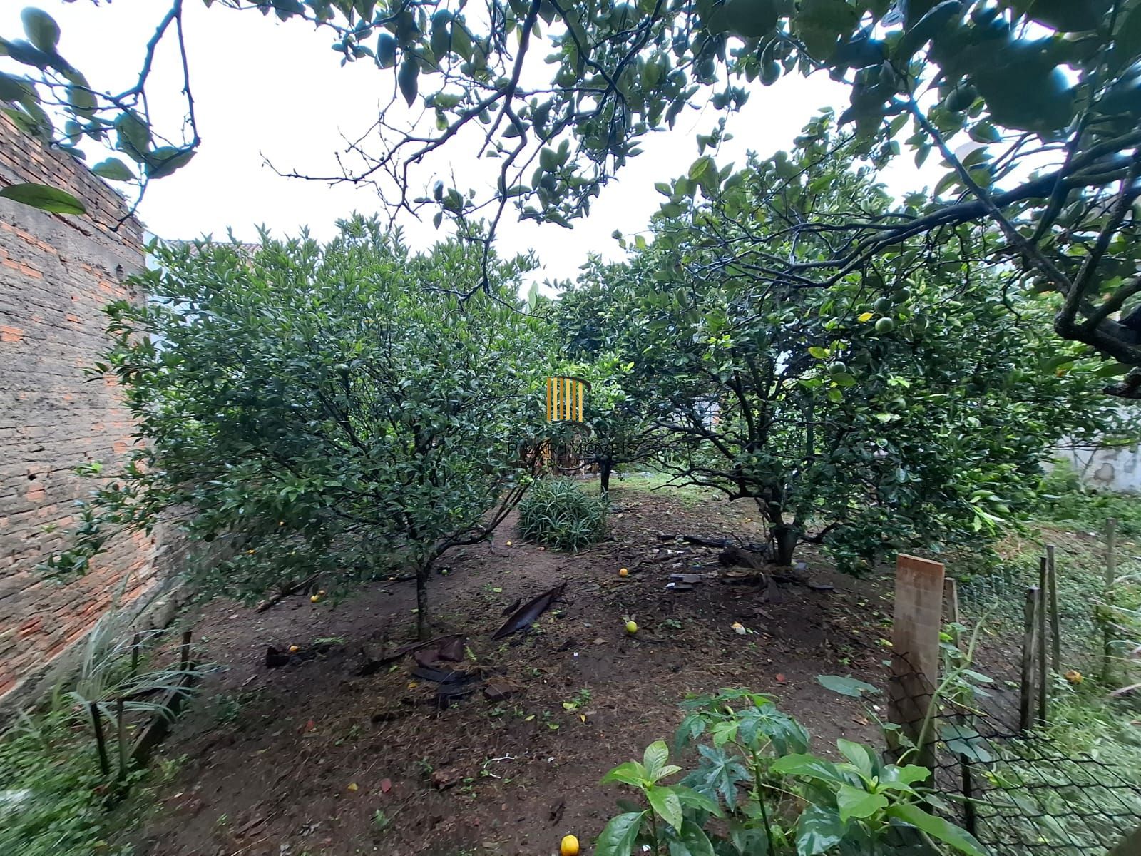 Oportunidade Imperdível - Terreno com 3 casas no Bairro Serraria Porto Alegre/RS