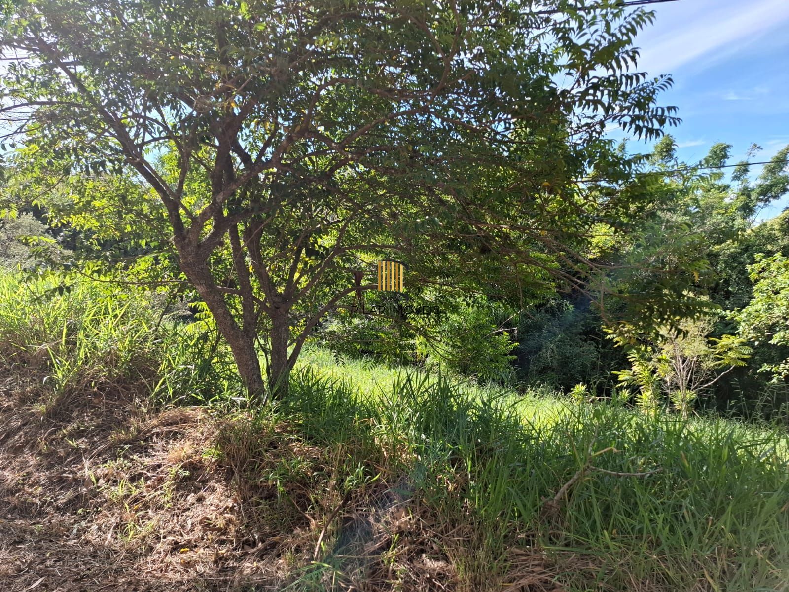 VENDO TERRENO 22X60.59 - Pilar Imóveis