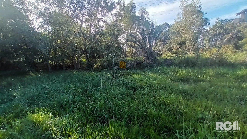 Sítio com 7.000m² no Parque Florestal Itapuã composto por dois terrenos, o primeiro medindo 3.420m² e o segundo 3.562,50m² Uma excelente opção para quem busca tranquilidade mesmo dentro da cidade.