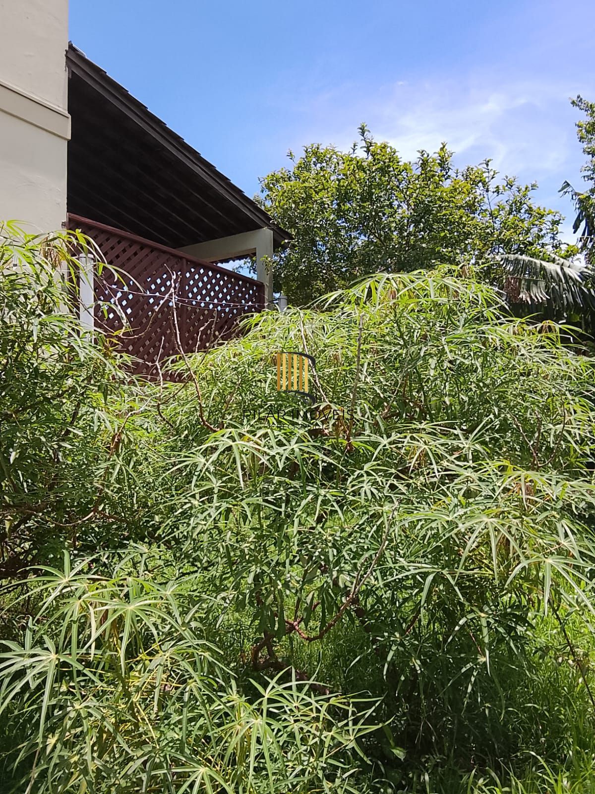 Excelente terreno gramado com árvores frutíferas e edícula nos fundos.