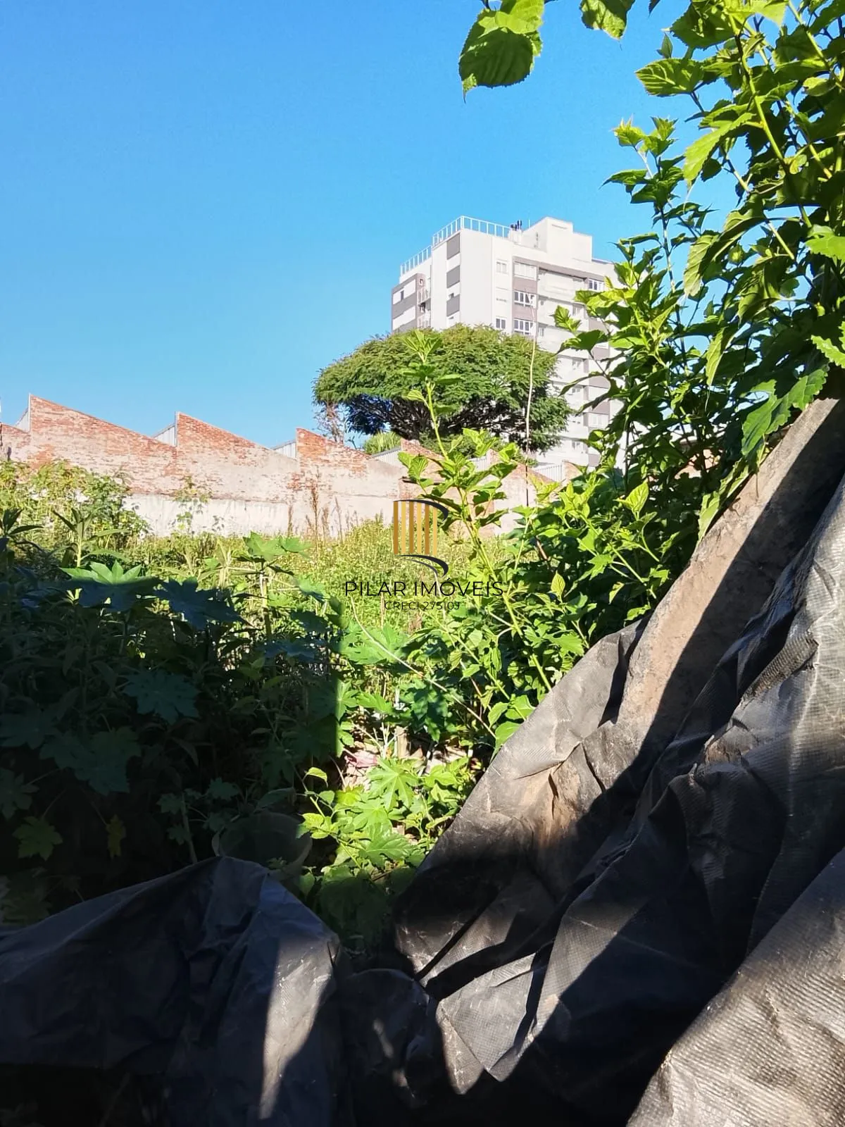 4 Terrenos residencial ou comercial, com tapume na frente, desinpedido sem muros intermediários total de 1.126,81 m²