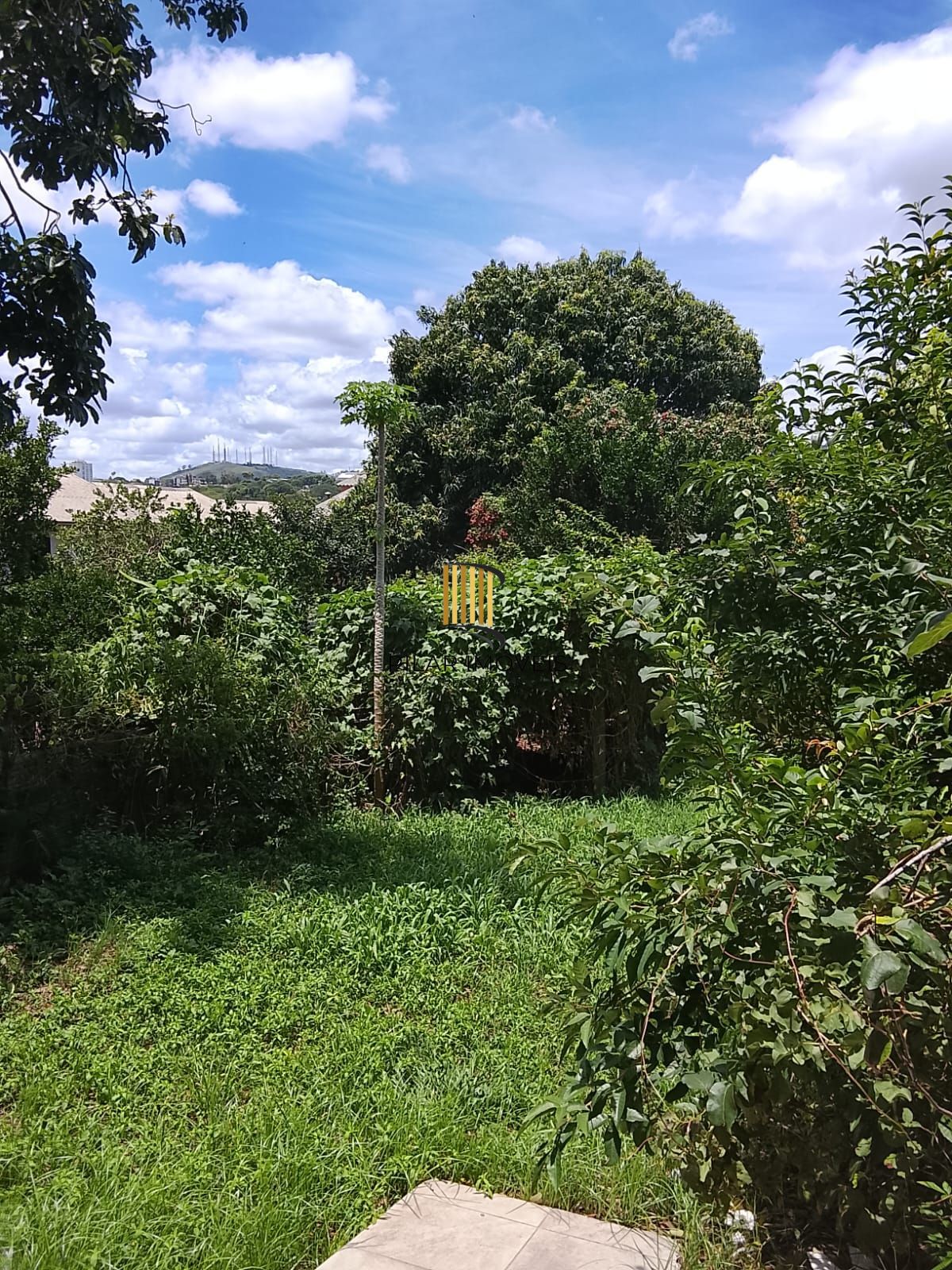 Excelente terreno gramado com árvores frutíferas e edícula nos fundos.
