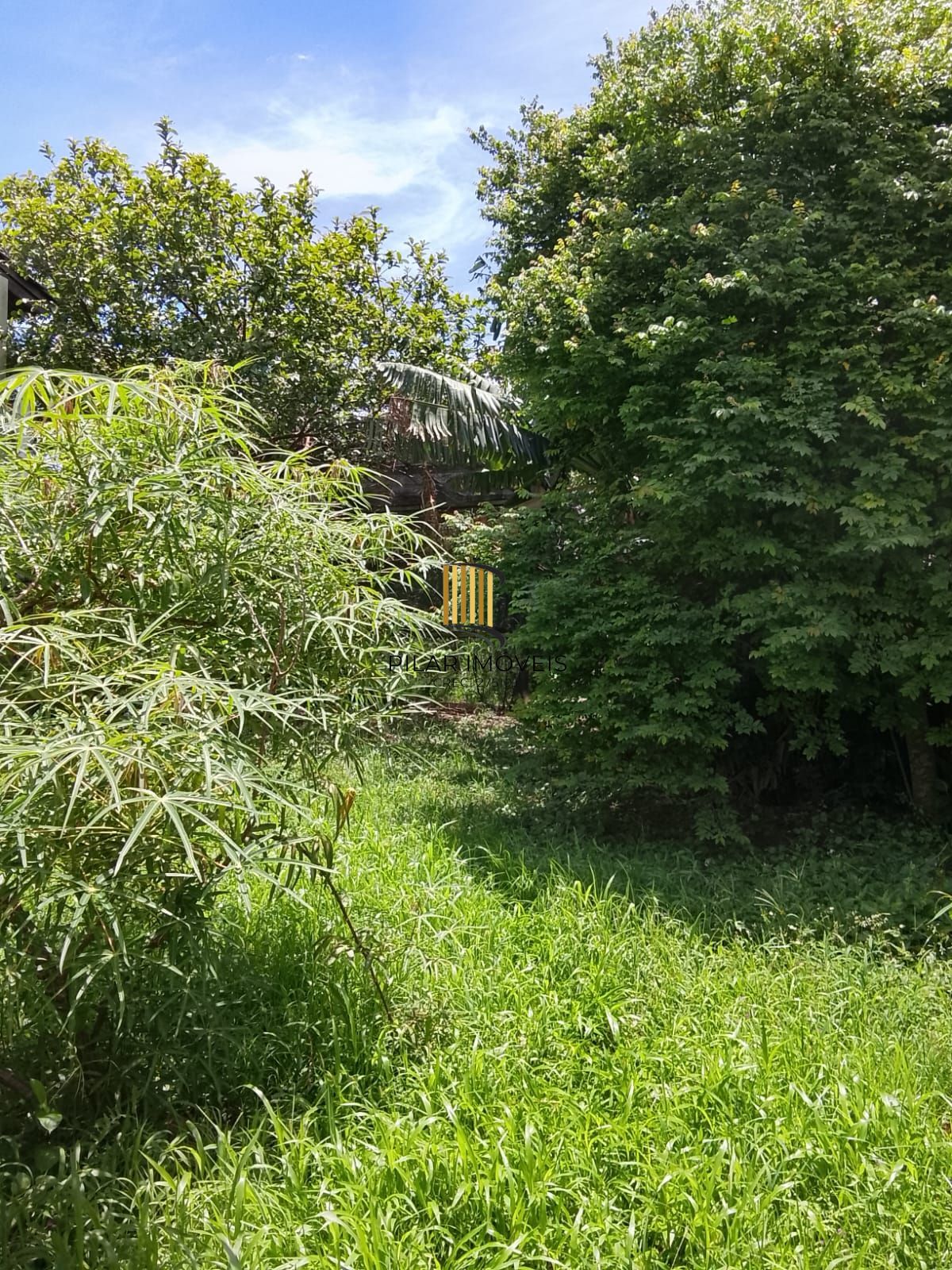 Excelente terreno gramado com árvores frutíferas e edícula nos fundos.