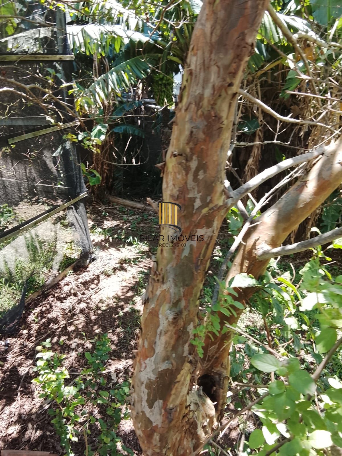 CASA / SOBRADO 5D e 10 vagas 3 Banheiros - Pátio enorme c/ Jacuzi e Pergolado - Living 3 ambientes - Sta Teresa