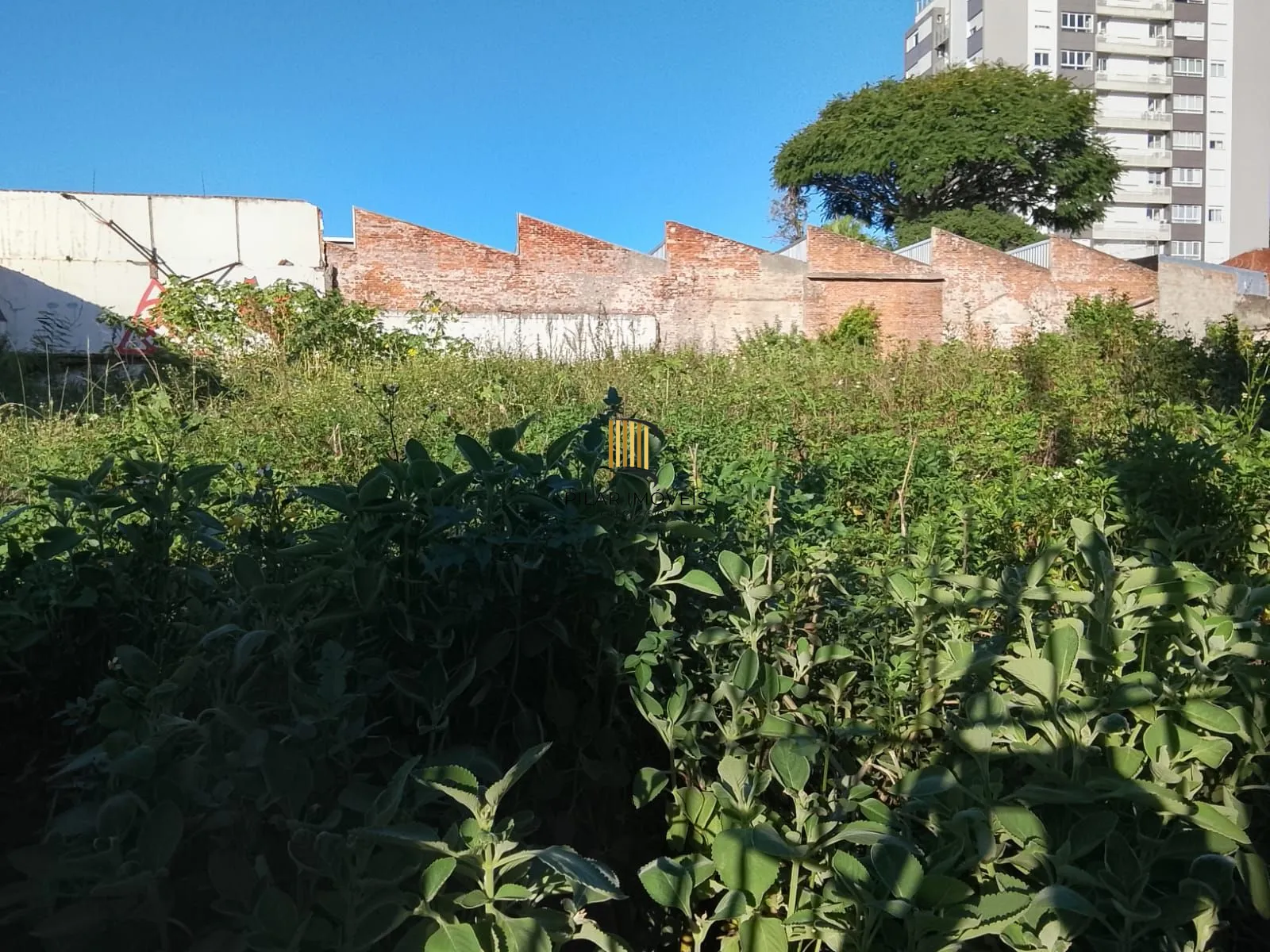 4 Terrenos residencial ou comercial, com tapume na frente, desinpedido sem muros intermediários total de 1.126,81 m²