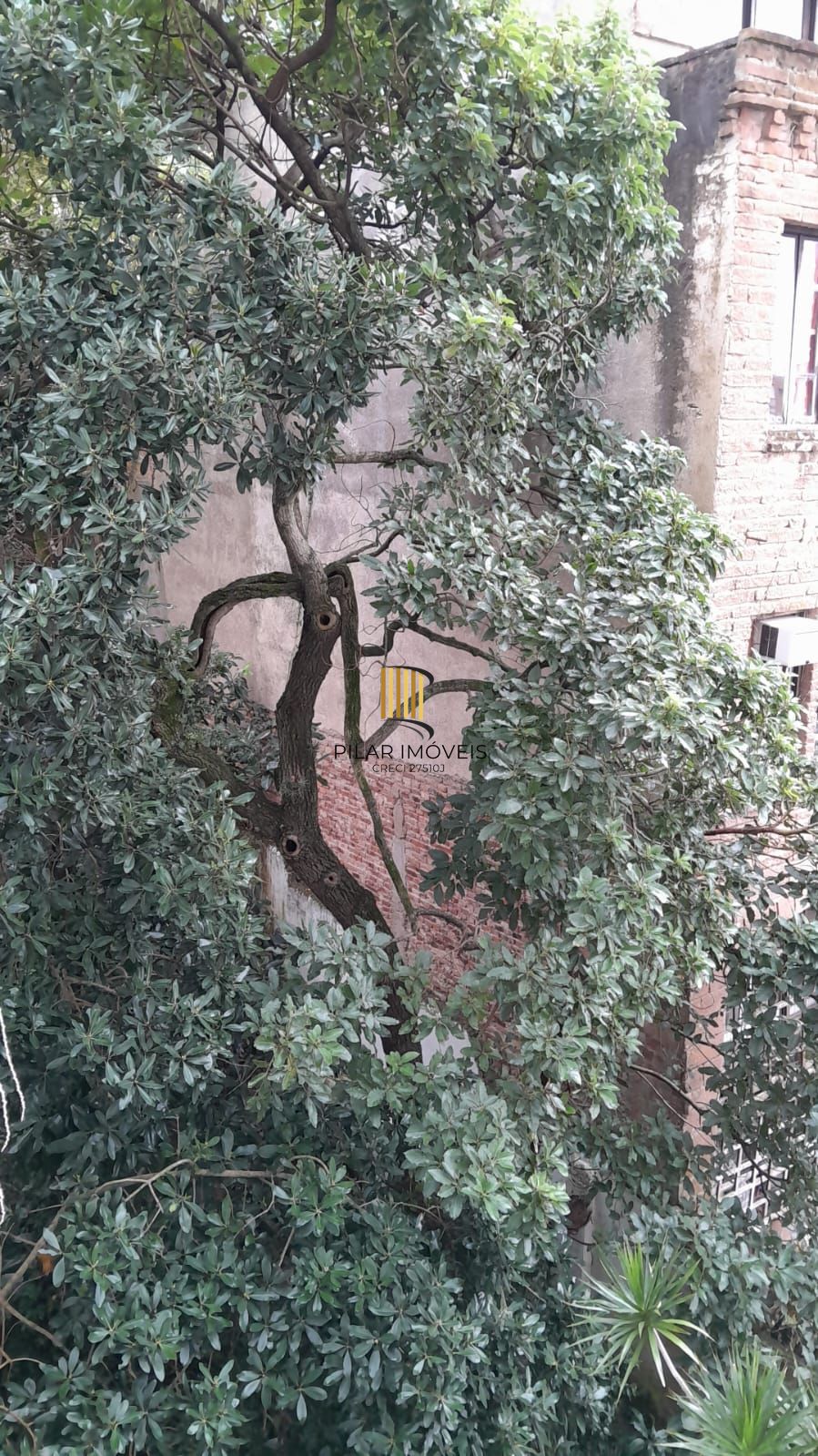 Ótimo 1 quarto,na Fernando Machado,silencioso e linda vista,em Porto ALegre