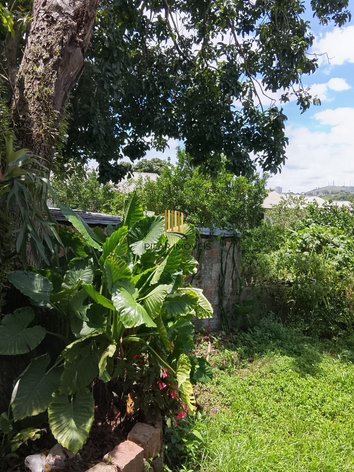 Excelente terreno gramado com árvores frutíferas e edícula nos fundos.