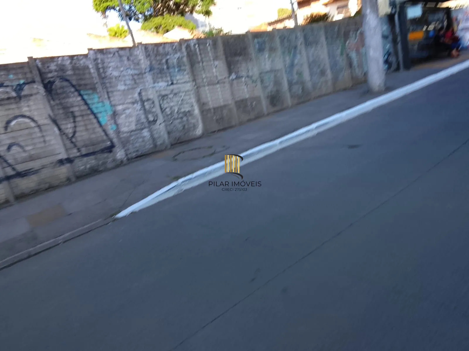 4 Terrenos residencial ou comercial, com tapume na frente, desinpedido sem muros intermediários total de 1.126,81 m² - Pilar Imóveis