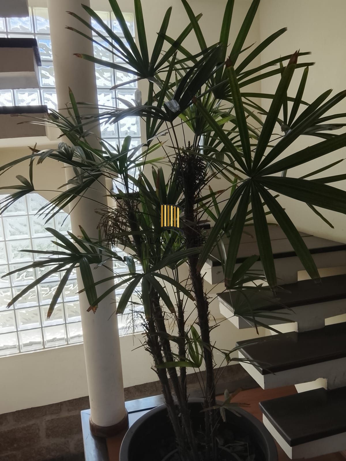 CASA / SOBRADO 5D e 10 vagas 3 Banheiros - Pátio enorme c/ Jacuzi e Pergolado - Living 3 ambientes - Sta Teresa