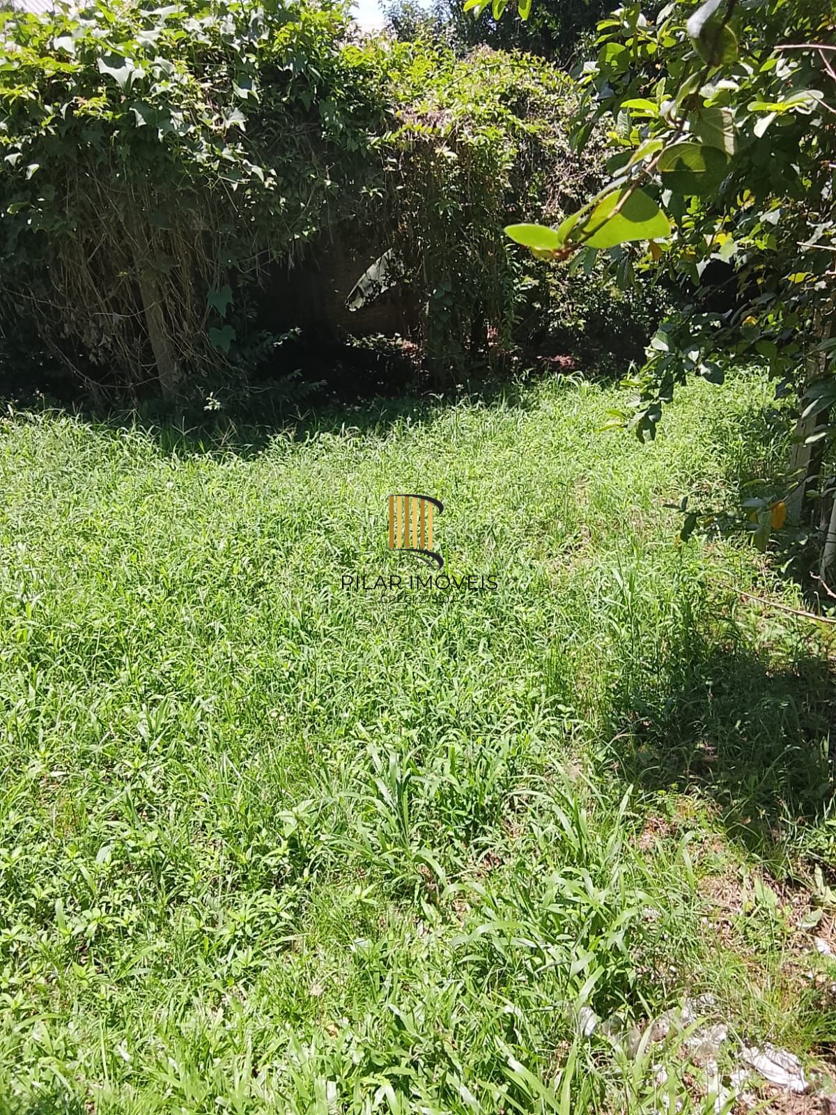 CASA / SOBRADO 5D e 10 vagas 3 Banheiros - Pátio enorme c/ Jacuzi e Pergolado - Living 3 ambientes - Sta Teresa