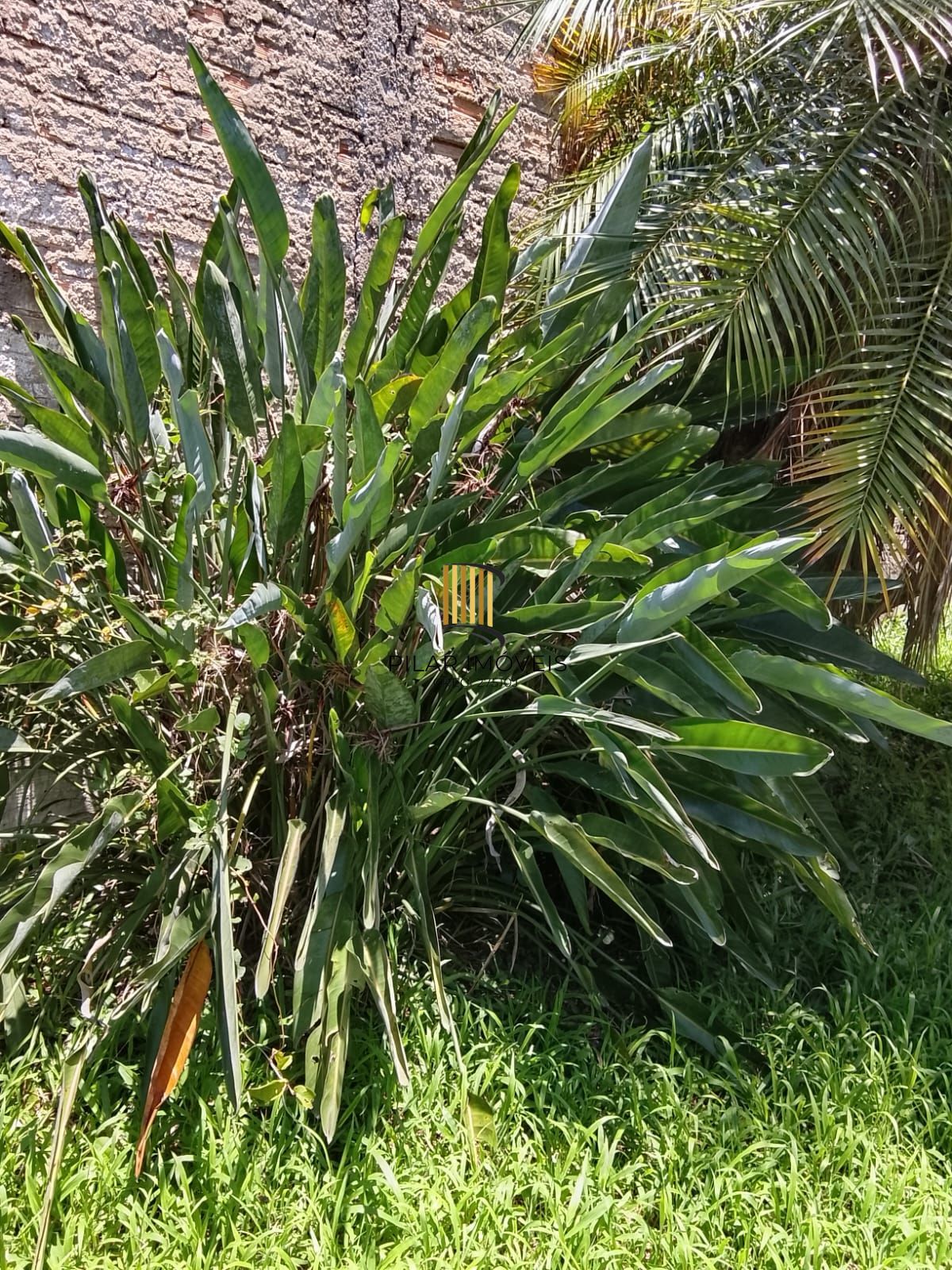 CASA / SOBRADO 5D e 10 vagas 3 Banheiros - Pátio enorme c/ Jacuzi e Pergolado - Living 3 ambientes - Sta Teresa