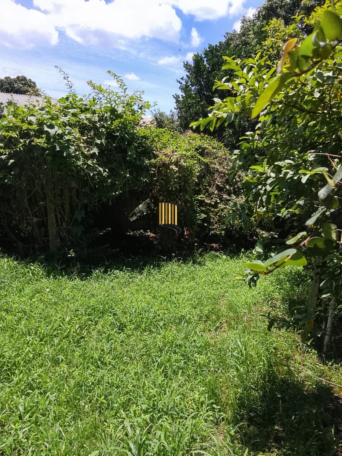 CASA / SOBRADO 5D e 10 vagas 3 Banheiros - Pátio enorme c/ Jacuzi e Pergolado - Living 3 ambientes - Sta Teresa