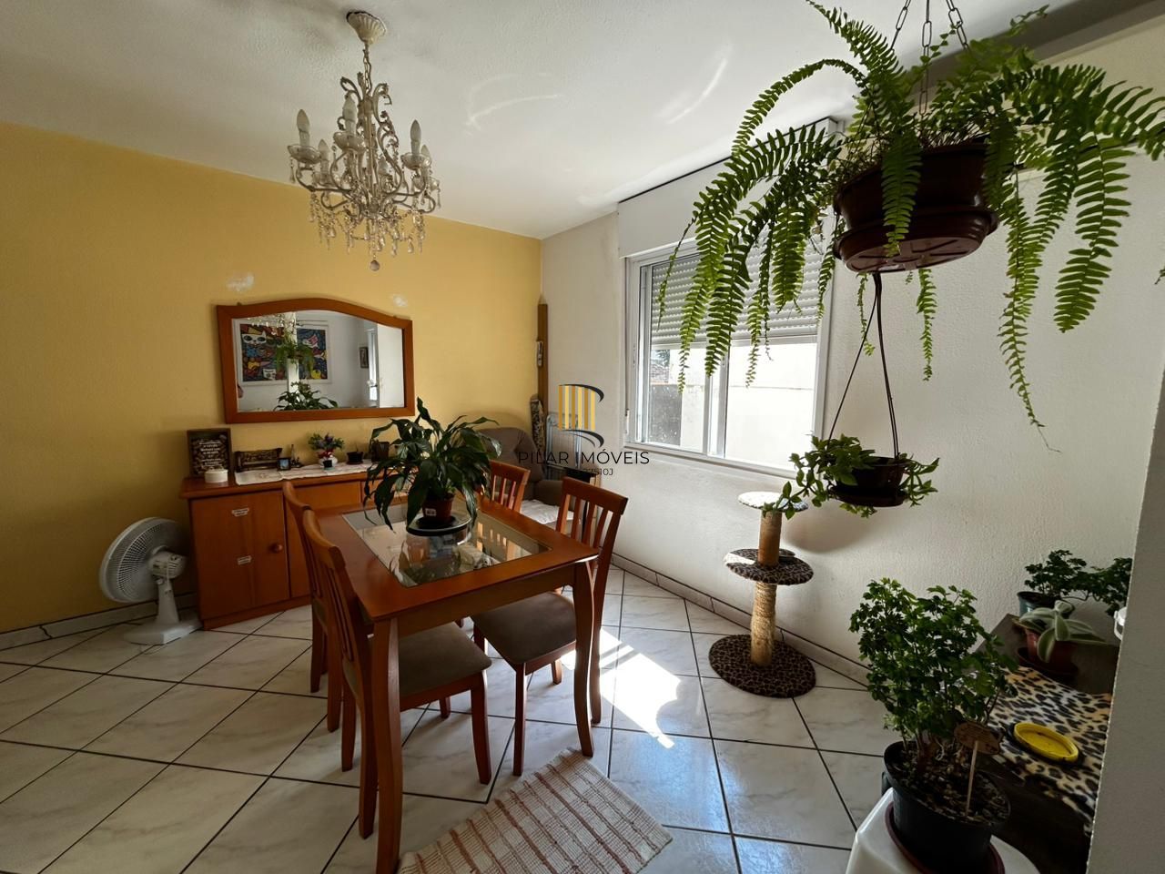 Apartamento 3 dormitórios na Roque Calage